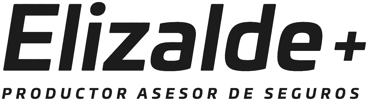 Elizalde — Productor Asesor de Seguros